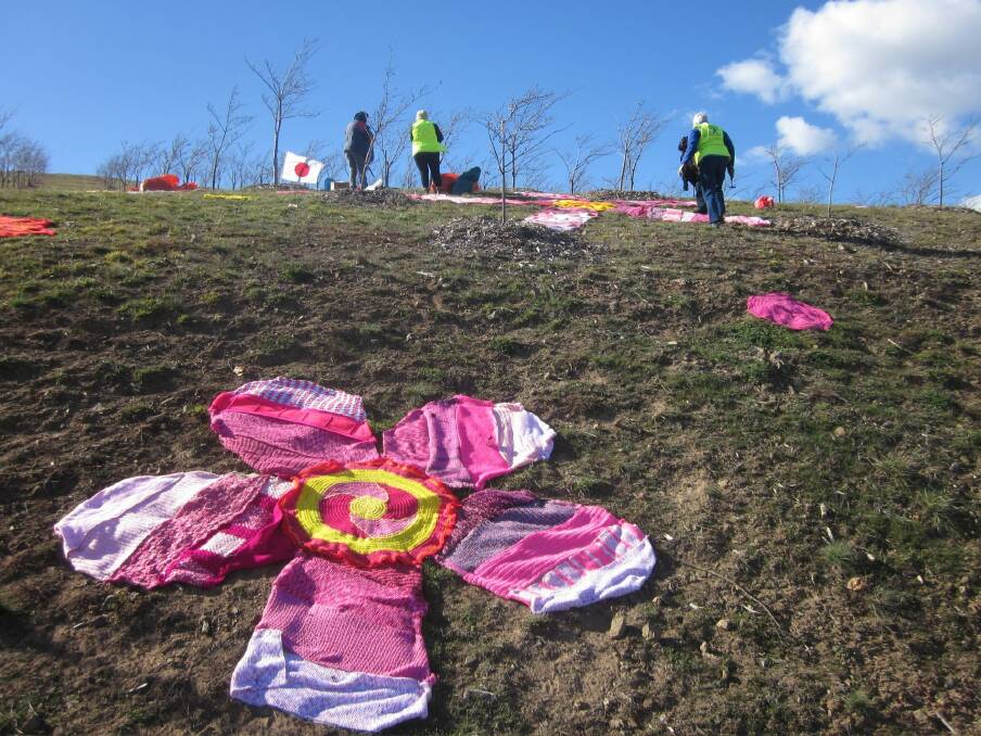Whimsical knitted cherry blossoms are dotted around the National Arboretum as part of the Warm Trees project. Photo: Supplied