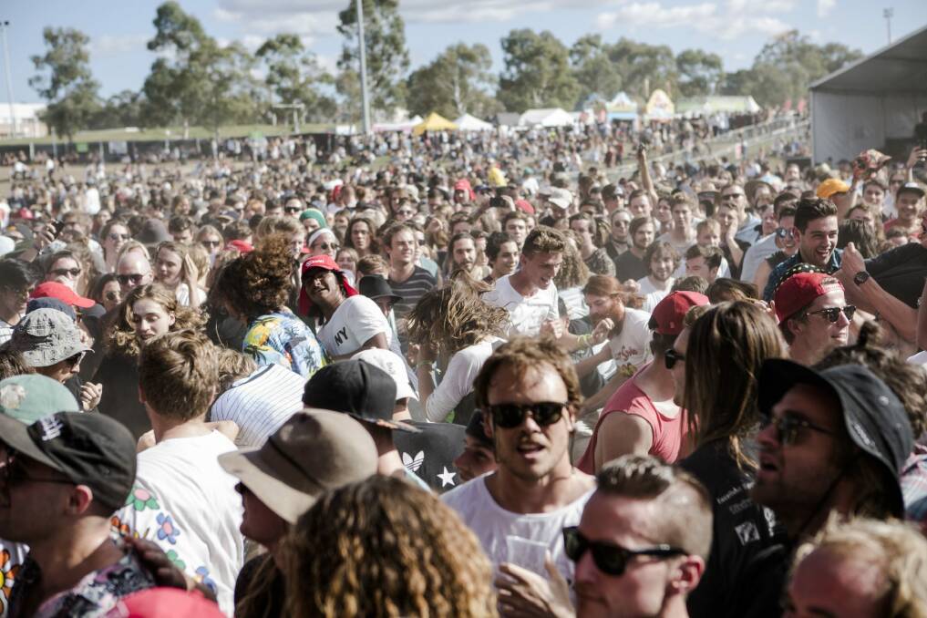 Groovin' The Moo patrons have criticised the inaction of security guards at Sunday's event. Photo: Jamila Toderas