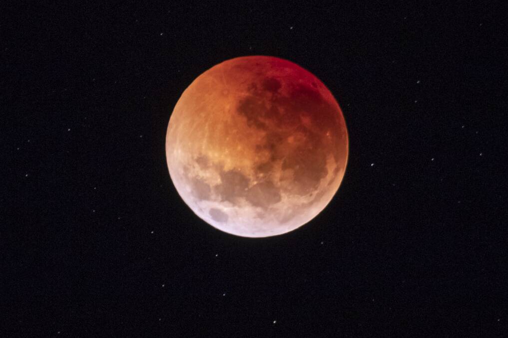 The blood moon seen from the National Arboretum. Photo: Ari Rex