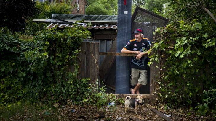 STILL WAITING: David Creech and Mahal the pug at the hole in the back fence of the Lowrie Street, Dickson, home. Photo: Rohan Thomson