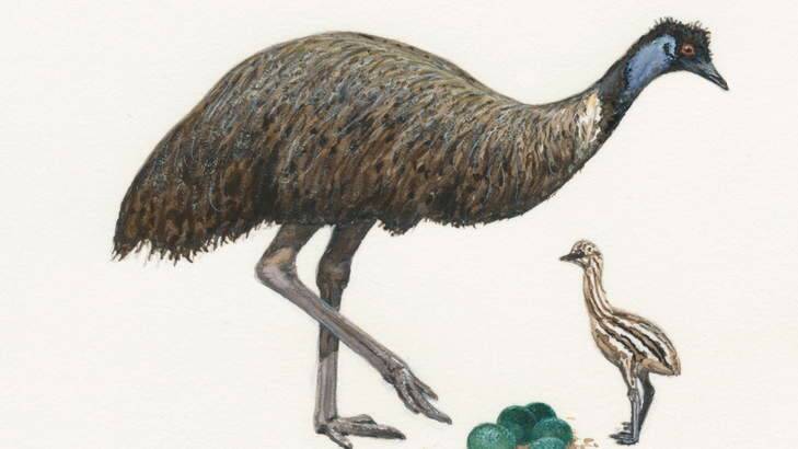 Nicolas Day painting "Emu". Photo: Supplied