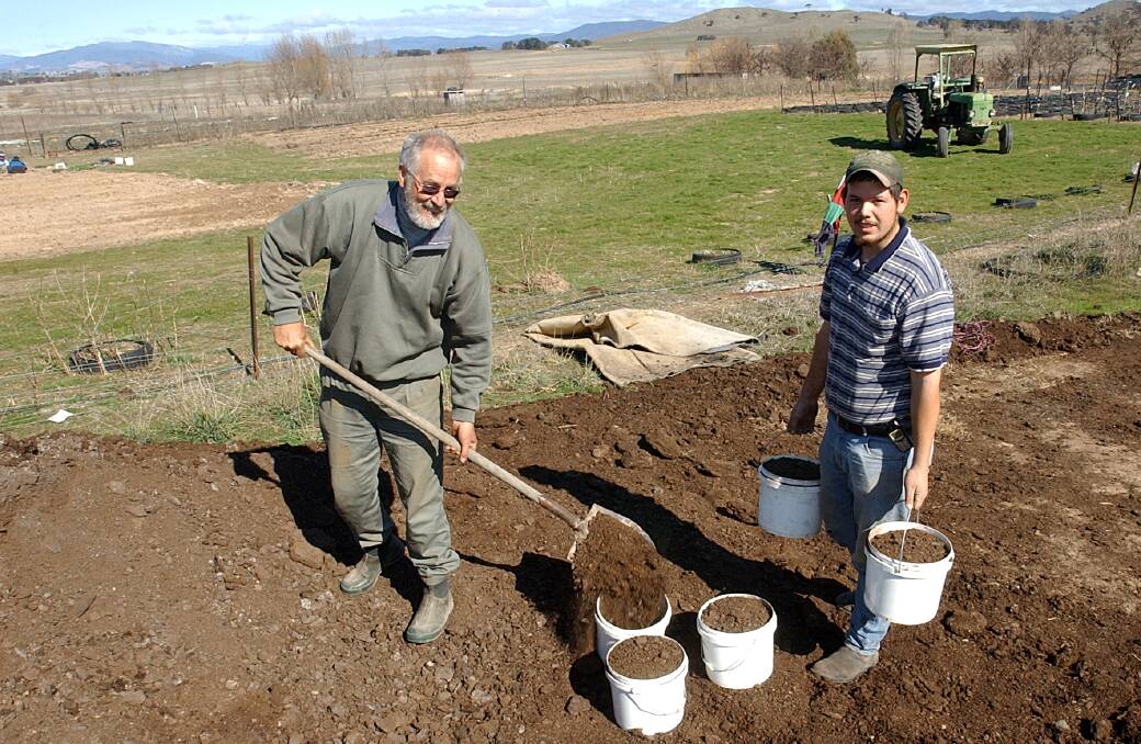 Picture of Dave Pentony and son Michael on the farm in 2011. Photo: Gary Schafer 