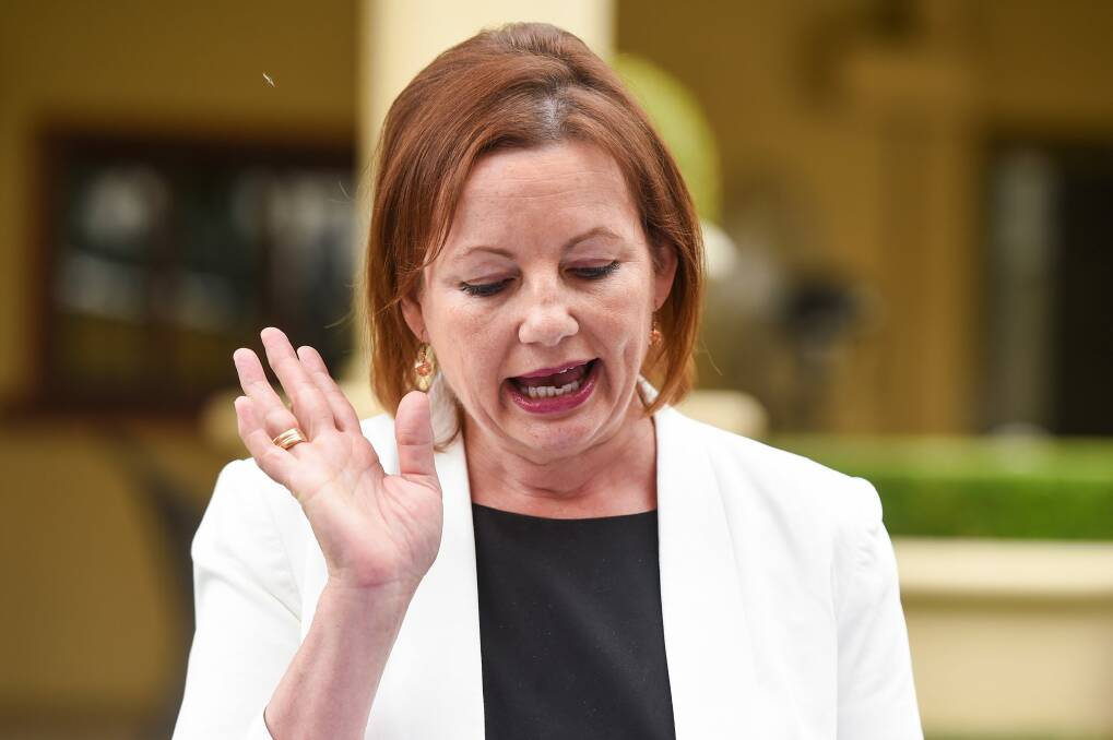 Sussan Ley announces her resignation last month after her travel expenses sparked a scandal. Photo: Mark Jesser