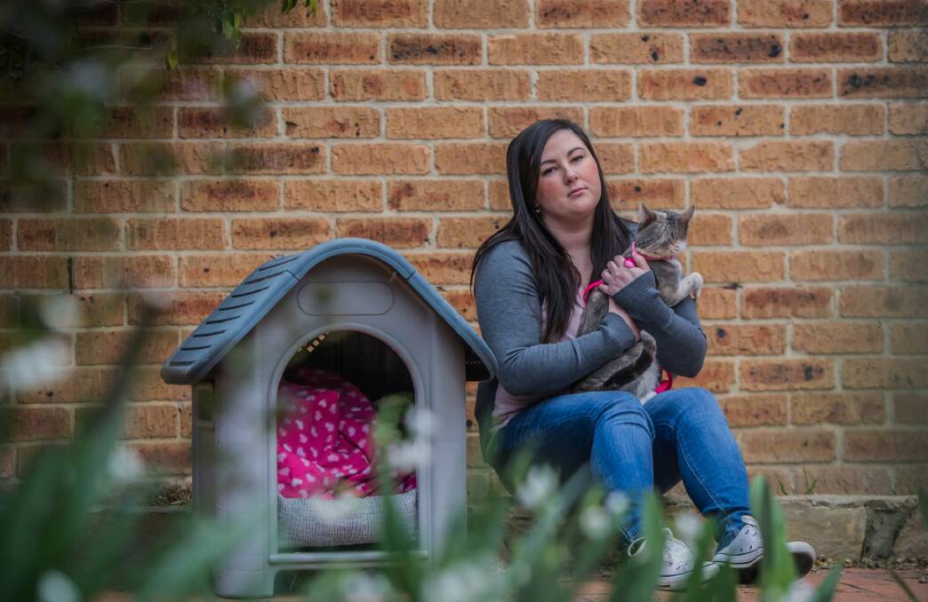 Cody Hill returned home to find her backyard trashed and her  Cavalier King Charles, Daisy, dead. Photo: Karleen Minney