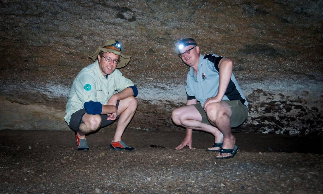 Tim and Bruce Ronning inspect droppings deep in a cave at Lake Burrinjuck. Photo: Tim the Yowie Man