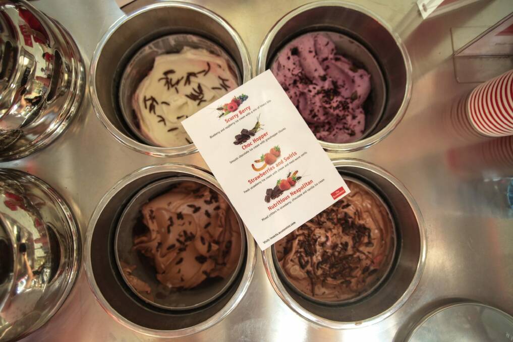 Pop-up stalls at ANU and Garema Place are this week giving away free insect ice cream. Photo: Supplied