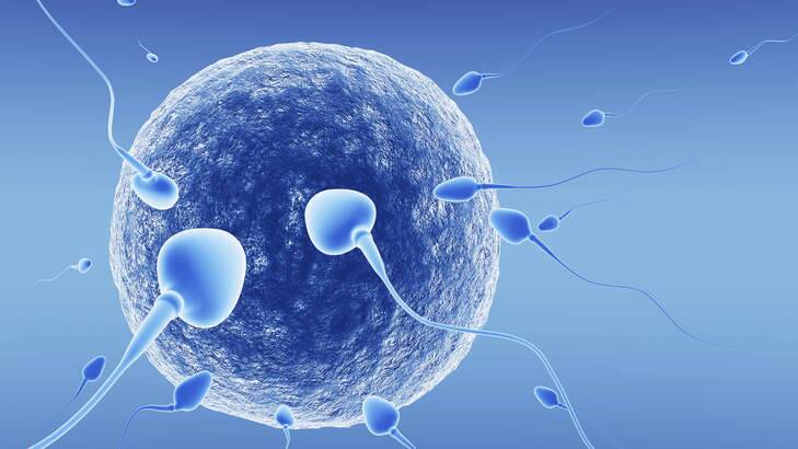 Sperm donors in the capital are not keeping up with demand for sperm. Photo: iStockphoto