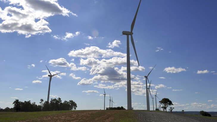 The Acciona Energy wind farm at Gunning. Photo: Graham Tidy