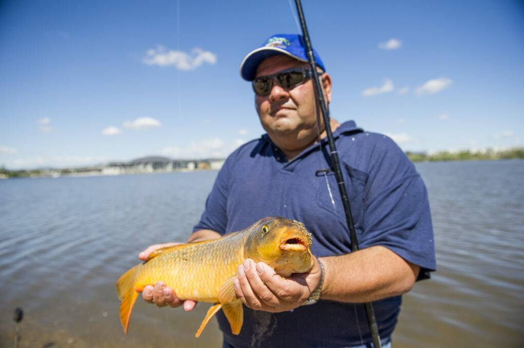 Charlie Diedo has caught and released hundreds of carp in Lake Burley Griffin.
 Photo: Jay Cronan