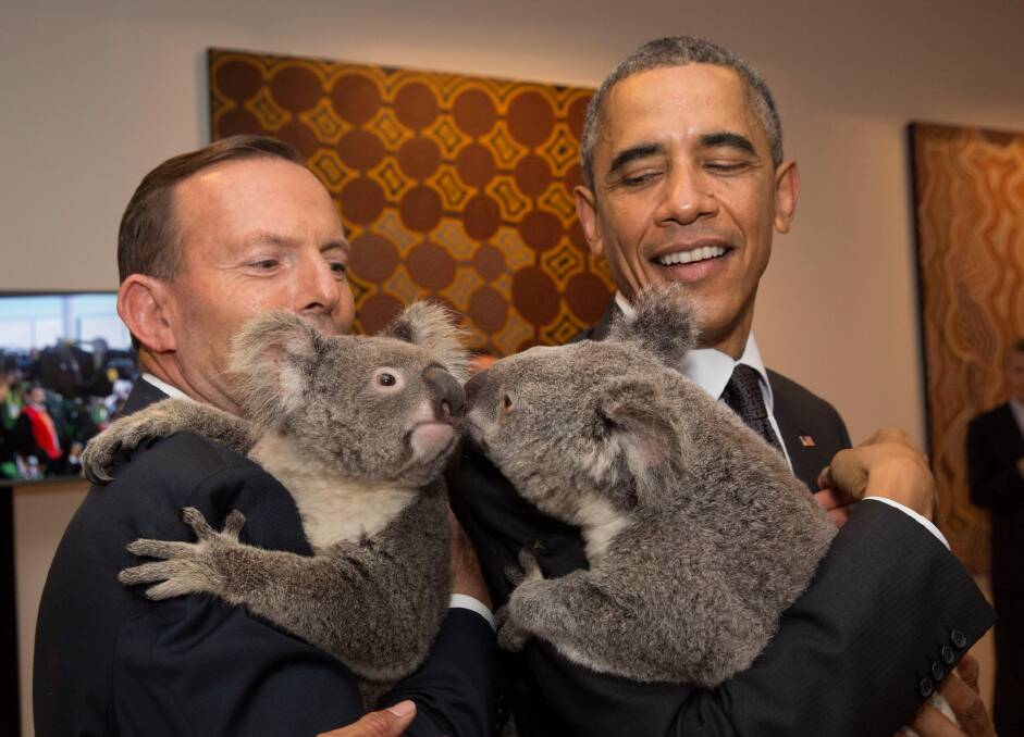 Former Prime Minister Tony Abbott and then-US President Barack Obama cuddled koalas at the G20 in Brisbane on Saturday 15 November 2014.  Photo: Andrew Taylor