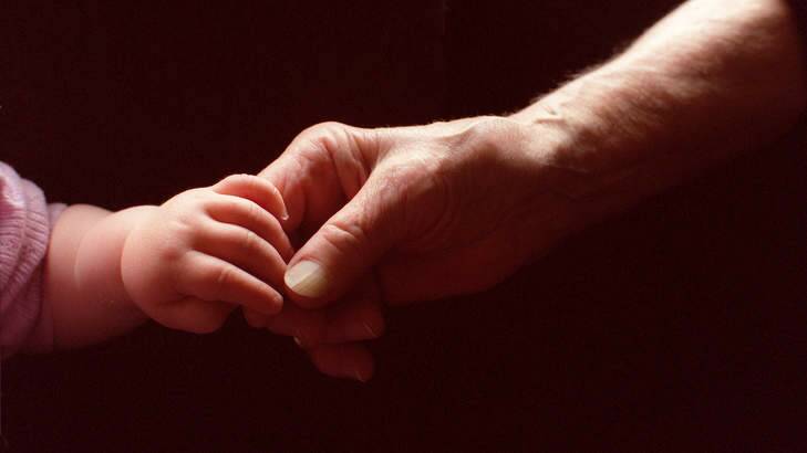 Grandparents who care full-time for their grandchildren need help to access services, says the Human Rights Commission. Photo: Louise Kennerley