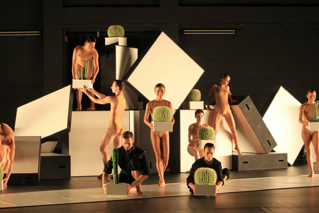 A preview of Cacti by Swedish choreographer Alexander Ekman, coming to Canberra Theatre Centre and Southbank Theatre, Melbourne, in May.  Photo: Tamara Dean 