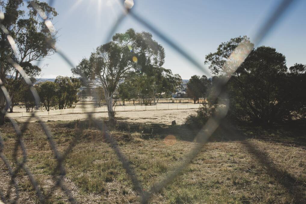 The six-hectare site is set to include more than 200 dwellings. Photo: Jamila Toderas