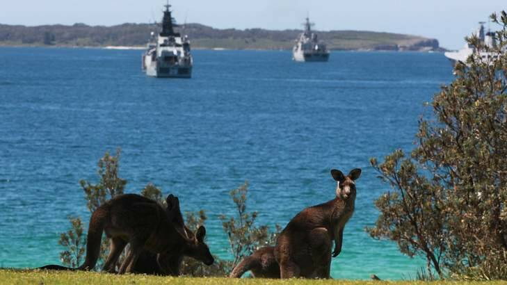 Naval ships from several countries gather in Jervis Bay. Photo: Ben Rushton