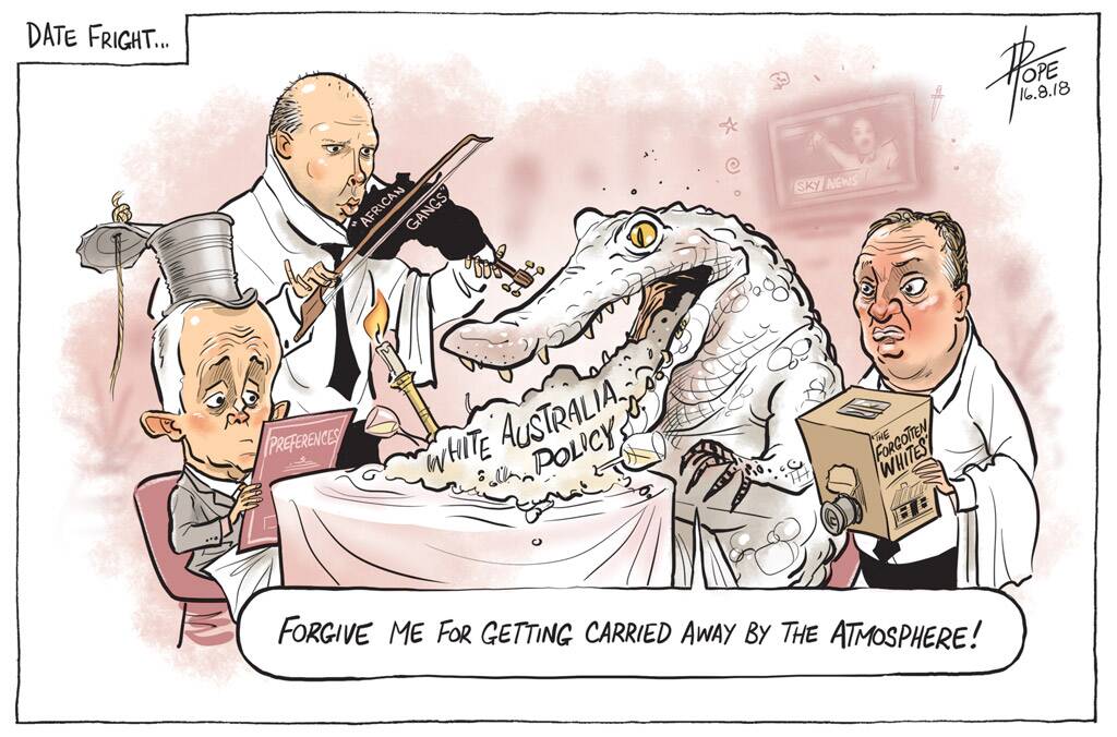 David Pope's editorial cartoon for August 16. Photo: David Pope