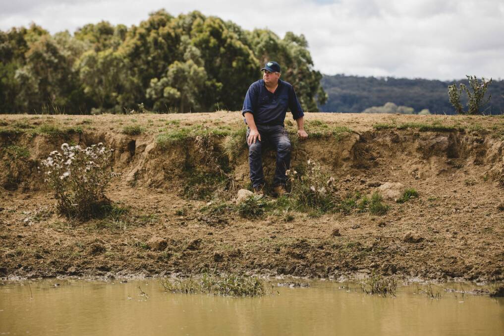 Ian Cargill at his property in Braidwood. The recent rain has made grass grow but dams are still near empty.  Photo: Jamila Toderas