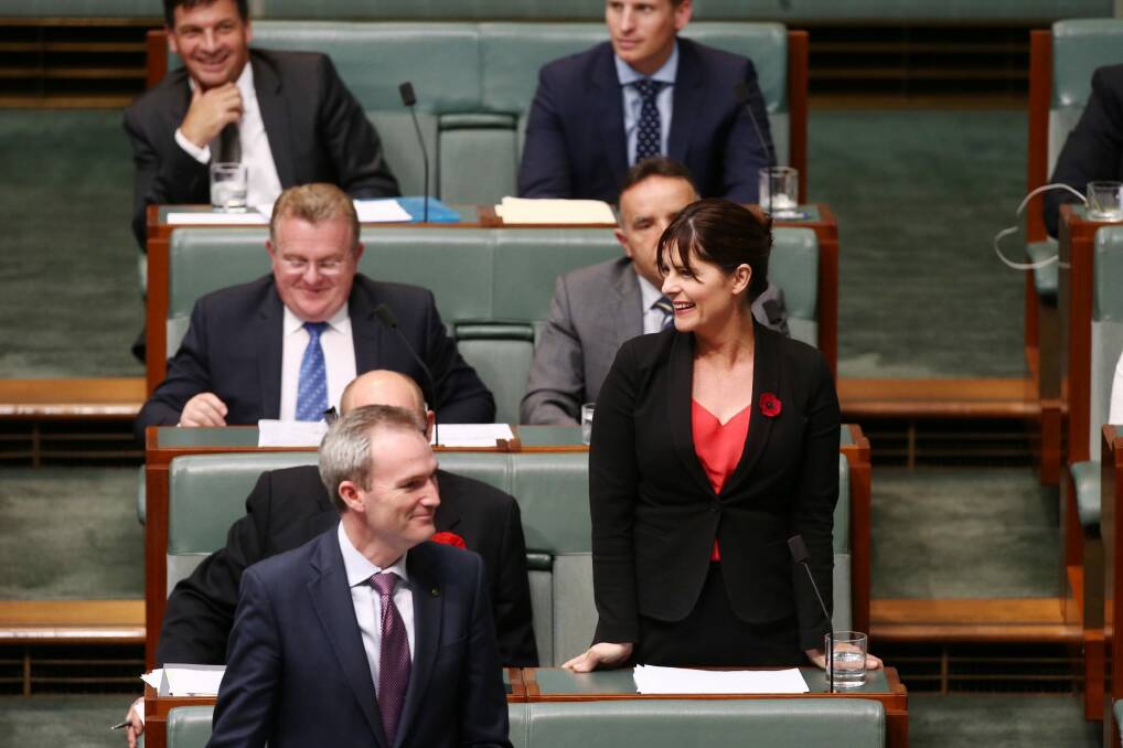 Lucy Wicks (member for Robertson) and David Coleman (member for Banks) both rise to ask a constituency question during question time on Monday. Photo: Andrew Meares