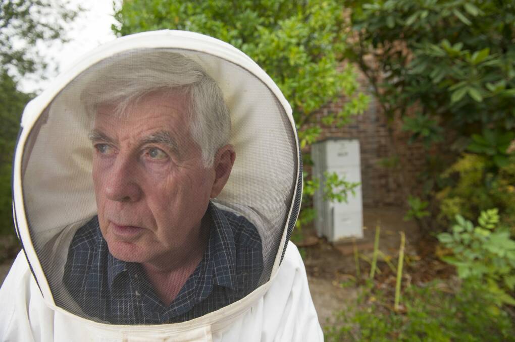 President of the Beekeepers association of the ACT John Grubb. Photo: Jay Cronan