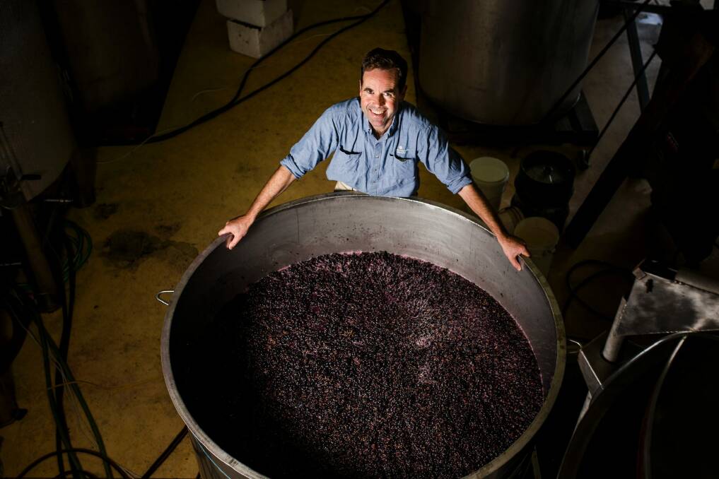 Mount Majura Vineyard winemaker Frank van de Loo. Photo: Jamila Toderas