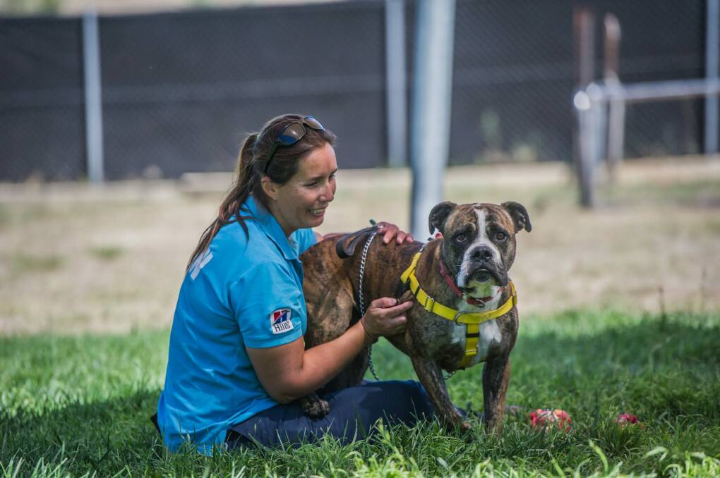 Cooper was the only dog left after the RSPCA's weekend clearance sale. He's pictured with kennel team leader Vanessa Cundi.  Photo: karleen minney