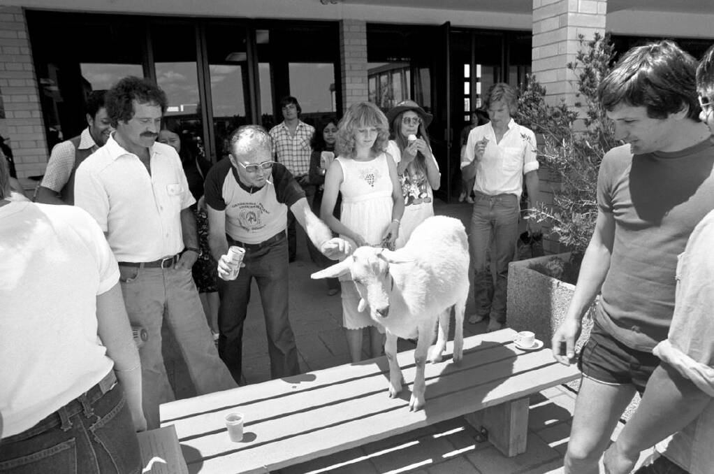 In 1980, college pranksters also brought a goat on campus. Photo: Supplied.