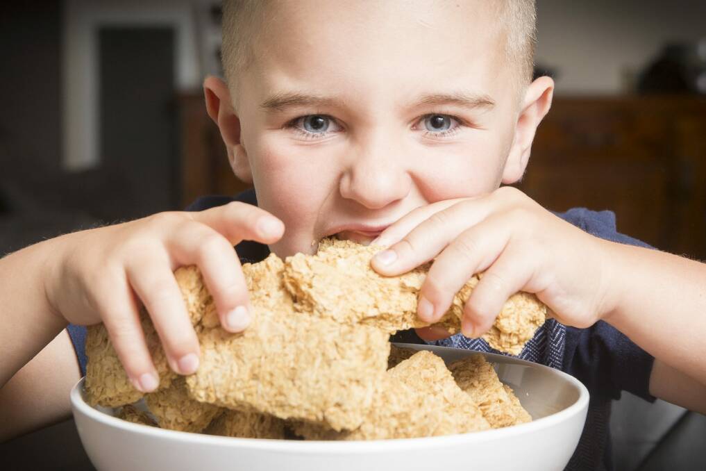 Kindergarten student Linkin Broers, 5, attempts to eat 20 Weetbix at his home in Gungahlin to raise money for SIDS and KIDS.
 Photo: Matt Bedford.