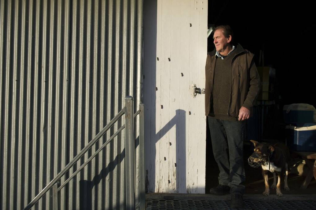Fifth-generation wool farmer Bill Mackay of 'Brookfield' in Yass wants a stable economy. Photo: Jay Cronan