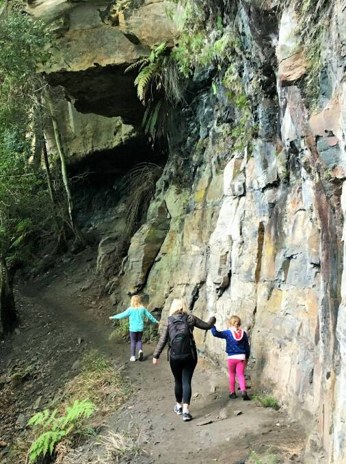 The walk down to Fairy Bower Falls is a real adventure.  Photo: Tim the Yowie Man