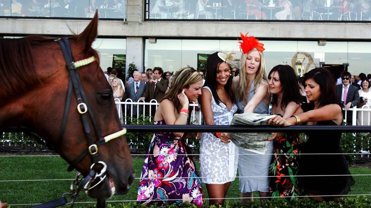 Ladies looking for a winner on Ladies' Day at Rosehill. Photo: Jenny Evans