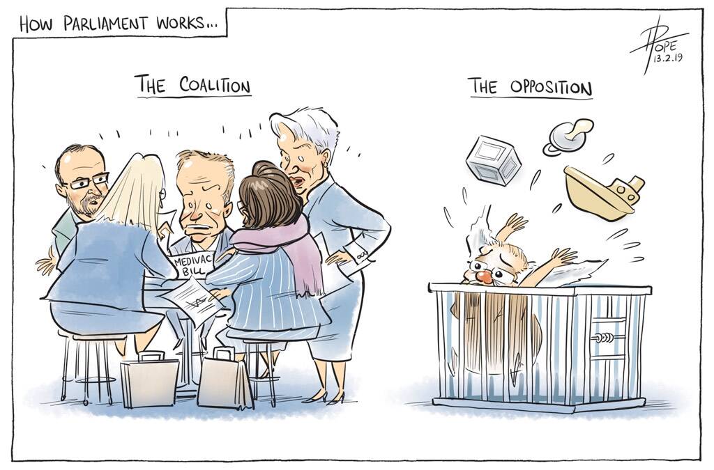 The Canberra Times editorial cartoon for Wednesday, February 13, 2019. Photo: David Pope. 
