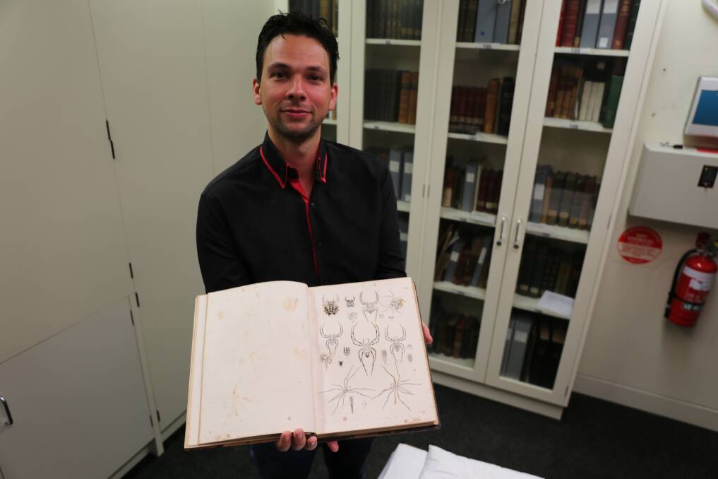 The catalogue has descriptions and  sketches of spiders drawn  in the 1860s. Photo: Jocelyn Garcia
