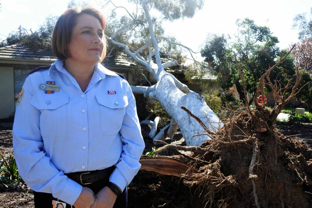 Acting chief of the ACT SES Tracey Allen said the recent rain was to blame for dozens of trees falling across Canberra.  Photo: Katie Burgess
