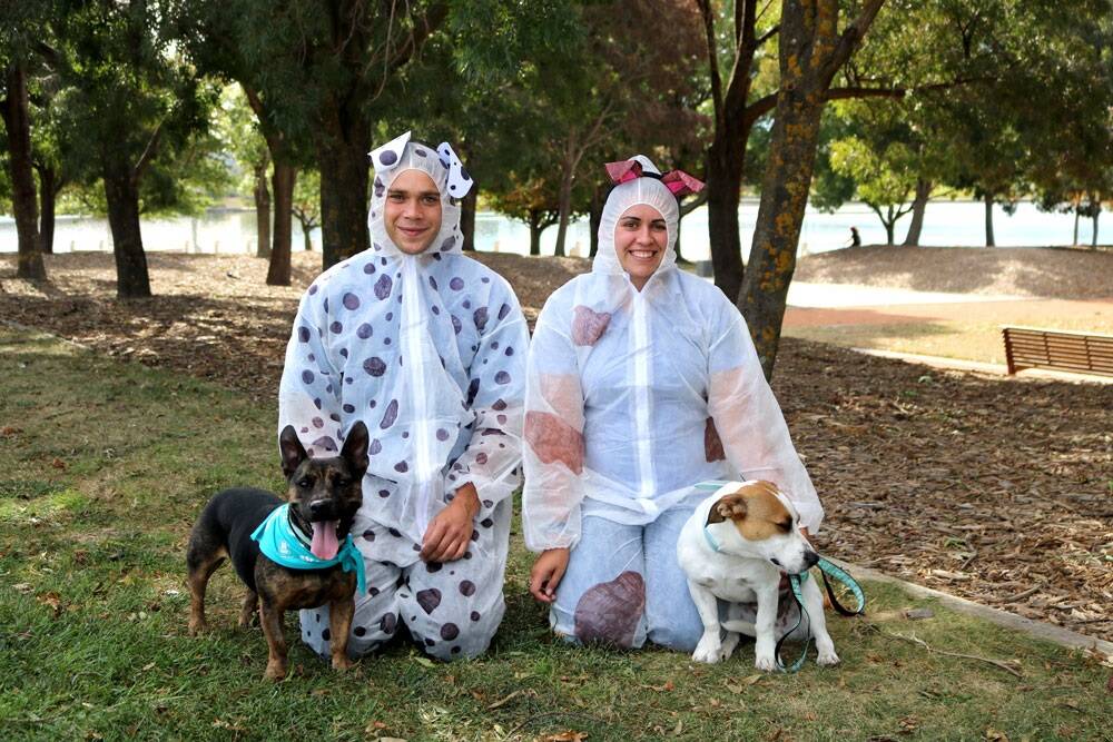 The Million Paws Walk in Canberra will also be a chance to beat the world record for the largest gathering of people dressed as dogs. Photo: Supplied