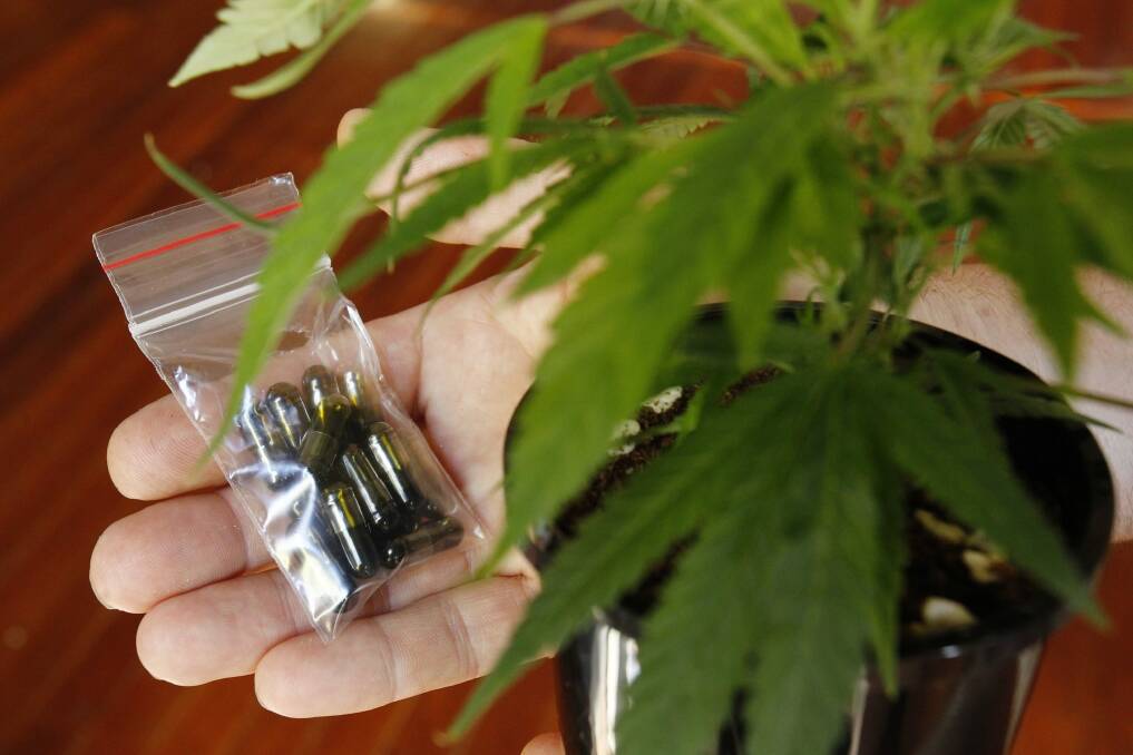 An ACT Assembly report has recommended a national approach to medical marijuana. Photo: Max Mason-Hubers