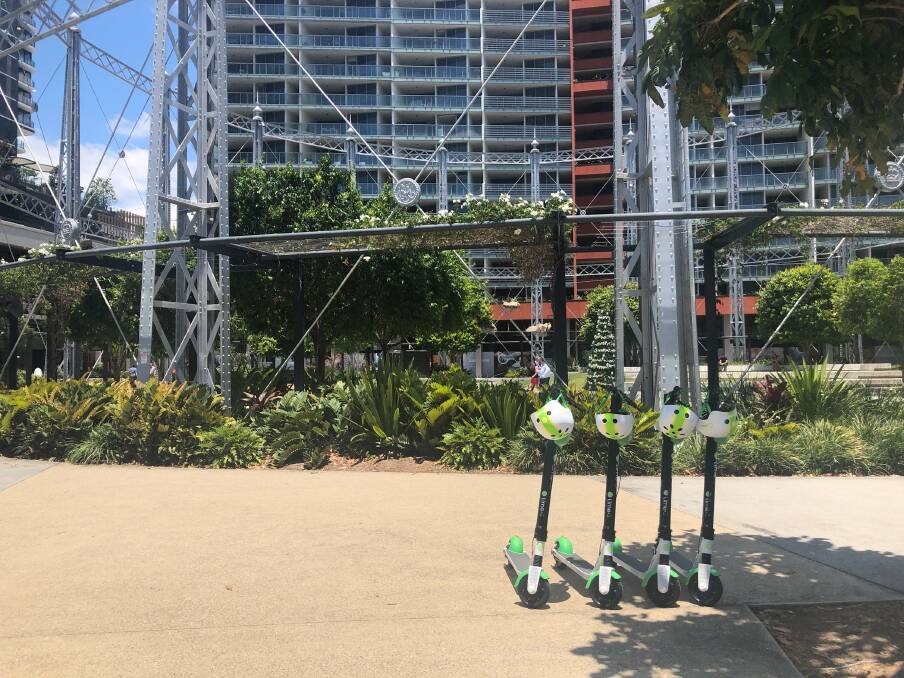 Lime scooters at Gasworks at Newstead after a temporary permit allowed the company to start operating in Brisbane without users facing hefty fines. Photo: Ruth McCosker