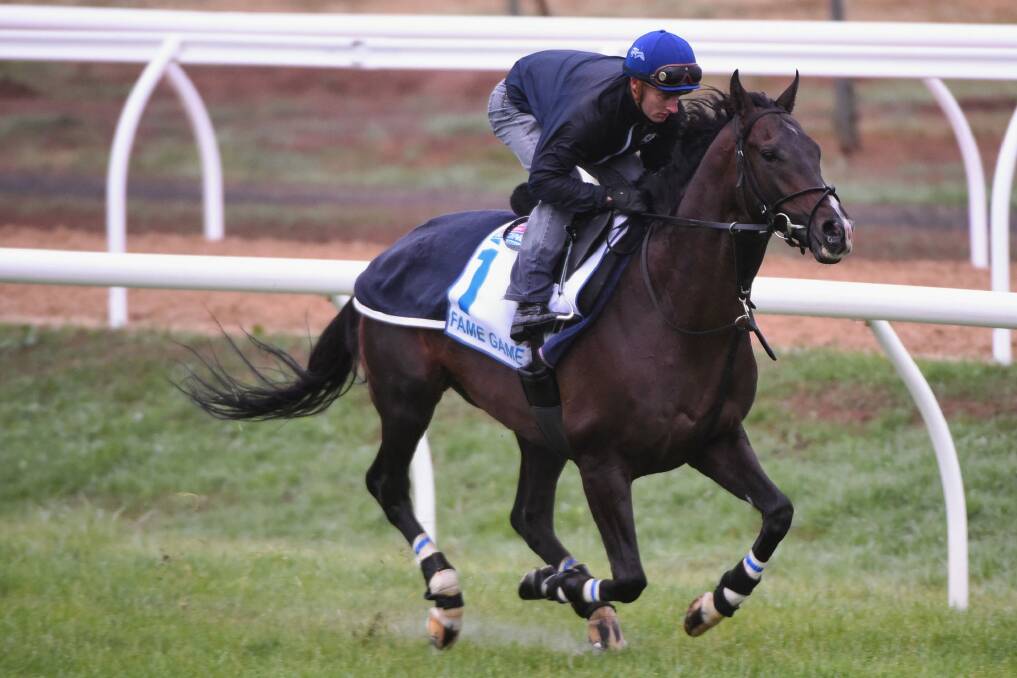 Melbourne Cup favourite Fame Game is put through his paces by Zac Purton at Werribee Racecourse. Photo: Vince Caligiuri