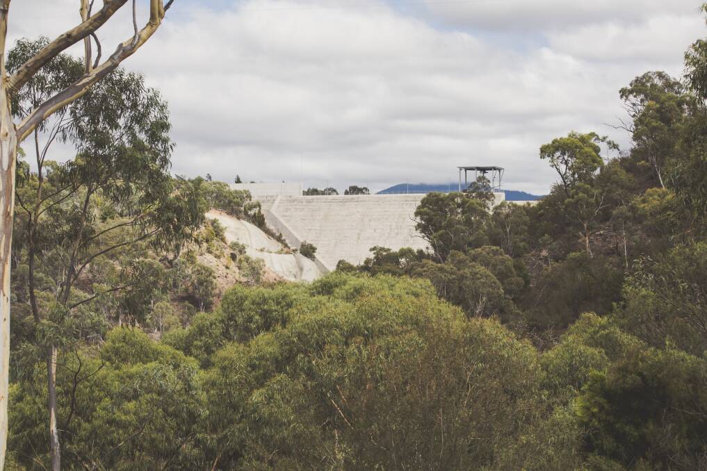 The Cotter Dam viewed from outside the catchment area. Photo: Jamila Toderas