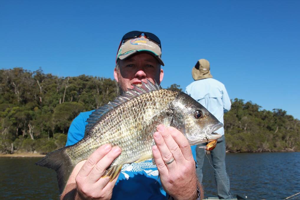 Bream, including some big bruisers, are firing up on the south coast.