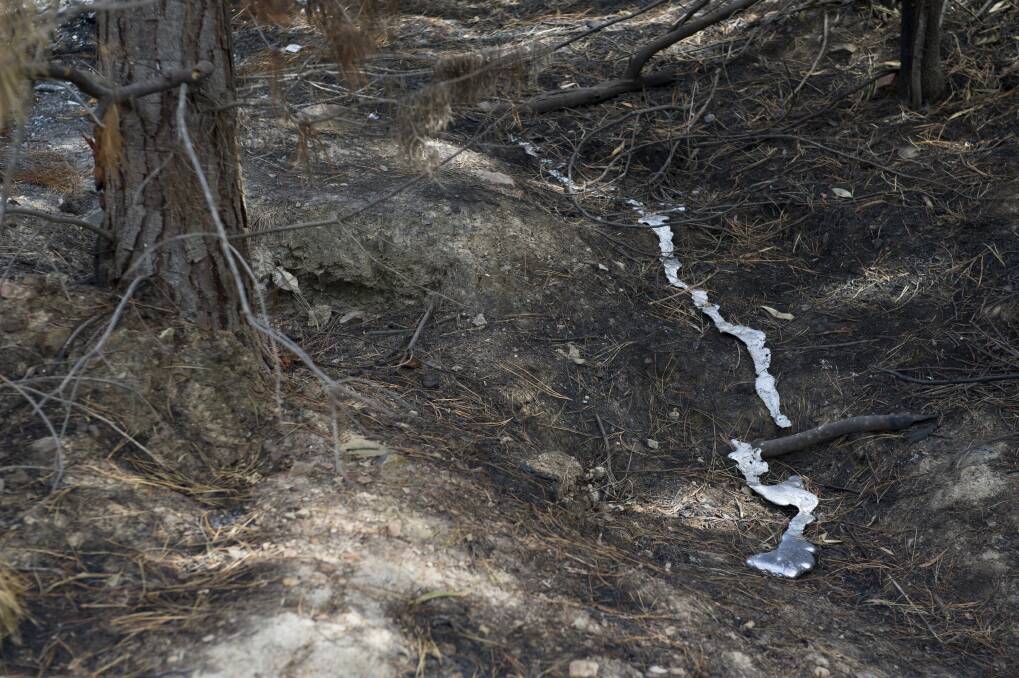 The melted engine from a stolen car at the site of the Pierces Creek fire. Photo: Elesa Kurtz