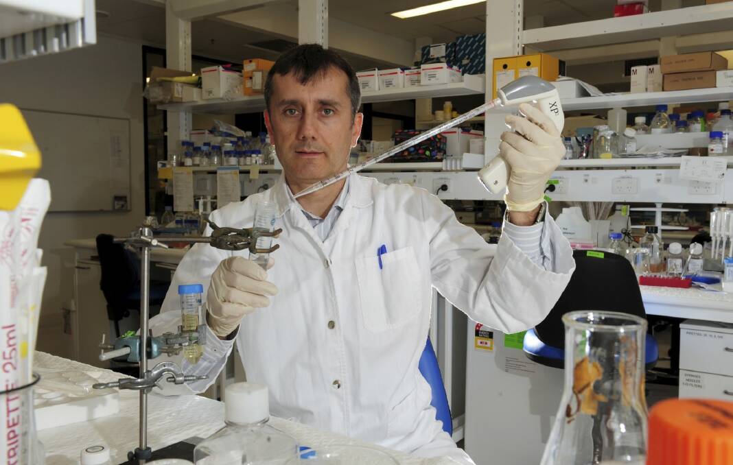 Major study: Professor Thomas Preiss from ANU JCSMR who has been involved in an international project researching stem cells.  Photo: Graham Tidy