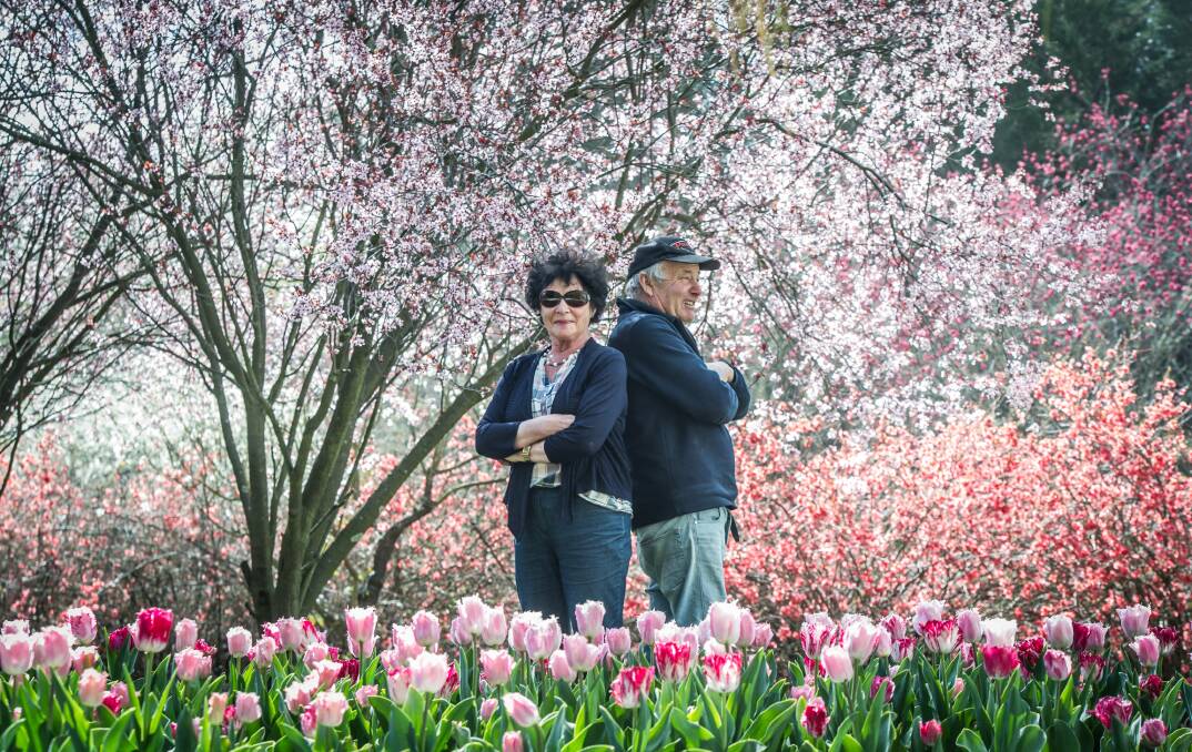 The owners and gardeners of Tulip Top, Pat and Bill Rhodin. Photo: Karleen Minney
