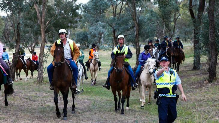 Officer Ben Kropp of ACT police directs the horses onto the Barton Highway. Photo: Katherine Griffiths