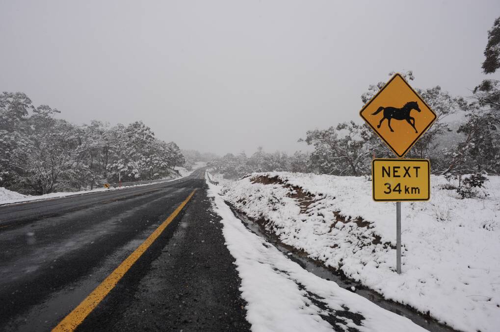 A horse warning sign is seen on the Snowy Mountains Highway, Kosciuszko National Park, NSW, on Saturday, June 16, 2018. Photo: AAP