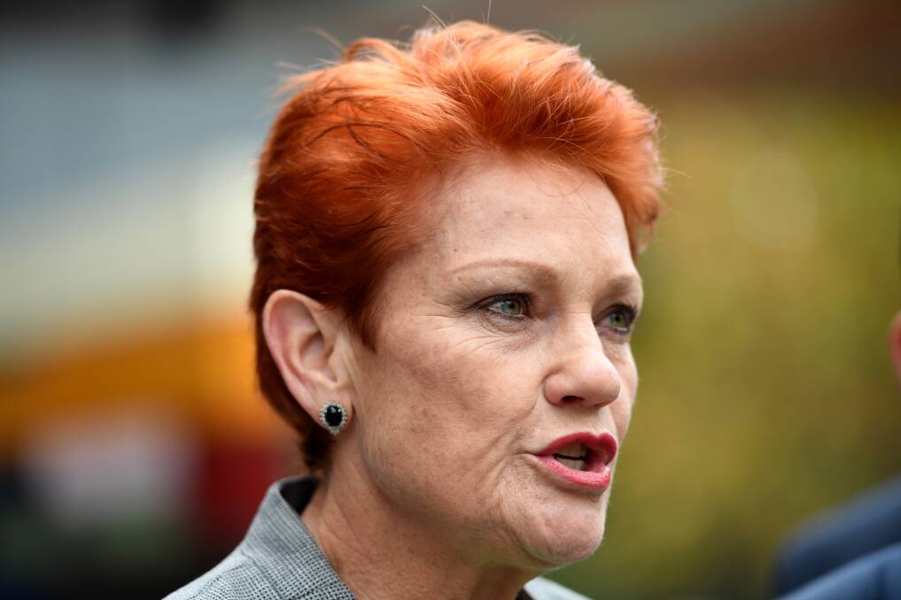 This week Pauline Hanson appeared to break her promise to support company tax cuts. Photo: AAP