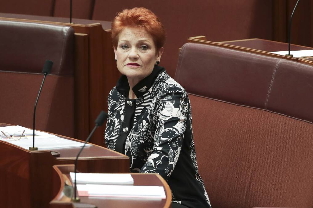 Senator Pauline Hanson during debate in the Senate at Parliament House in Canberra. Photo: Alex Ellinghausen