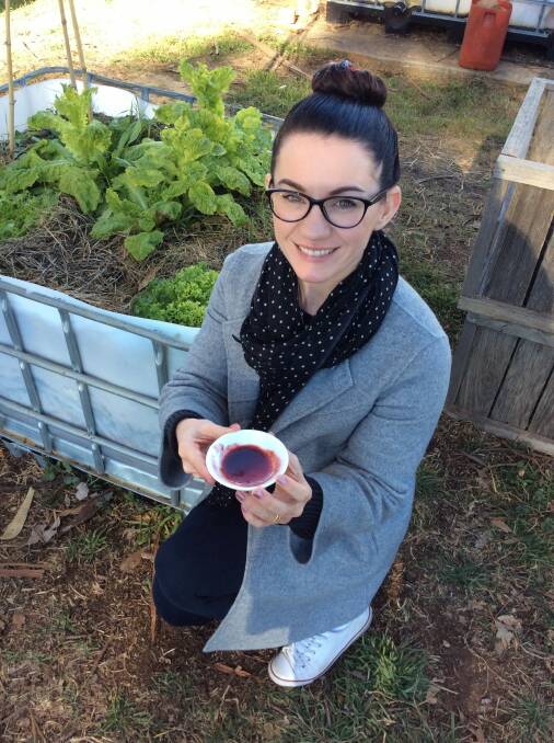 Bronwen Stead with test saucer of shiraz jelly and lettuces at Canberra City Farm.  Photo: Susan Parsons