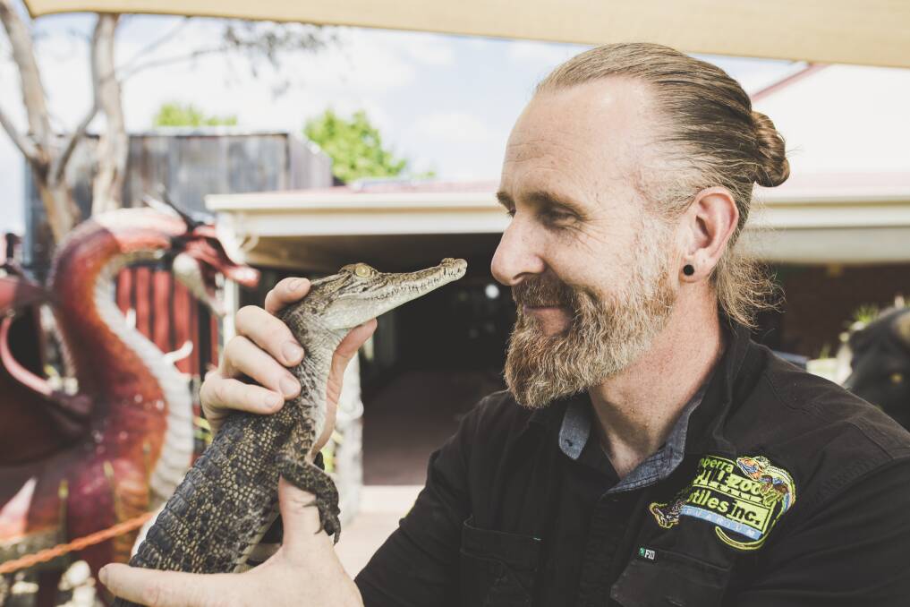 Peter Child, founder of and handler at Canberra Reptile Zoo, with Chopper the saltwater crocodile. Photo: Jamila Toderas