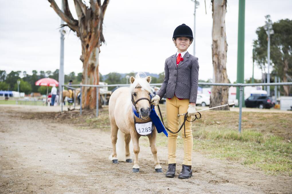 Hallie Halpin-Bishop is pleased to have won a Shetland Pony competition with her pony Casper at this year's Canberra Show. Photo: Dion Georgopoulos