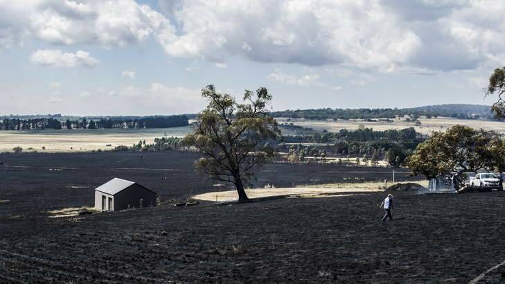 Burnt land on Hazeldell Road, pictured on Tuesday. Photo: Rohan Thomson