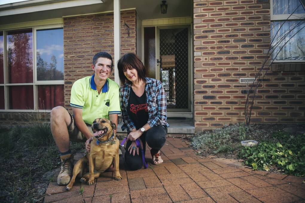 An amazing random act of kindness - Canberra tradie Josh Lancaster with Pumpkin the staffy and her owner, Jenny Spear, of Wanniassa. Photo: Rohan Thomson